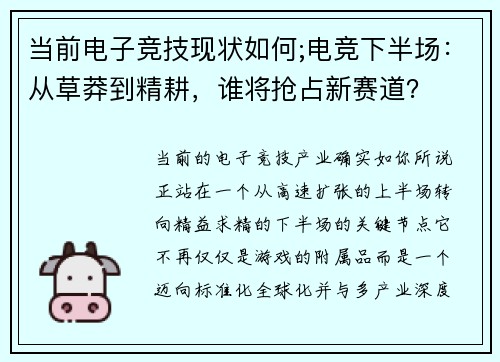 当前电子竞技现状如何;电竞下半场：从草莽到精耕，谁将抢占新赛道？