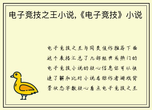 电子竞技之王小说,《电子竞技》小说